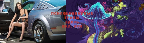 дмт Покачи