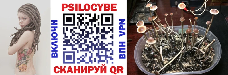 Галлюциногенные грибы GOLDEN TEACHER  Агидель 