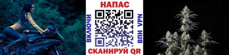 закладки  Агидель  Бошки Шишки сатива 
